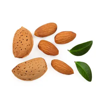 Organic Kagzi Almonds